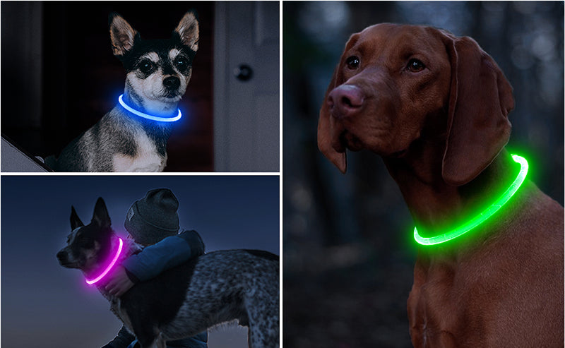 LumiPaw Licht Halsband