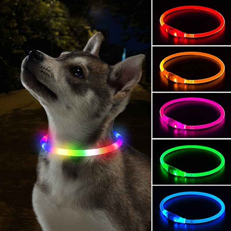 LumiPaw Licht Halsband